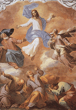 Sebastiano Taricco-Trasfigurazione-di-Cristo-sec.-XVII